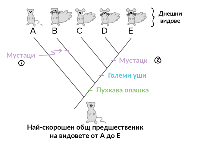 Изображение към въпроса